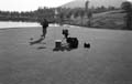 10_2003_0466